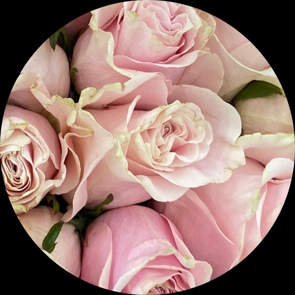 lilly2567